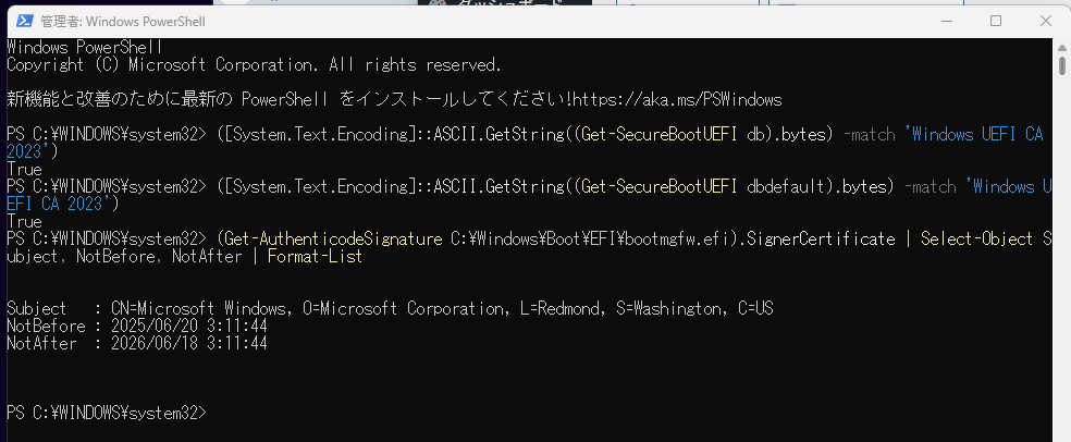 DB不正語ののパワーシェルによる確認結果画像